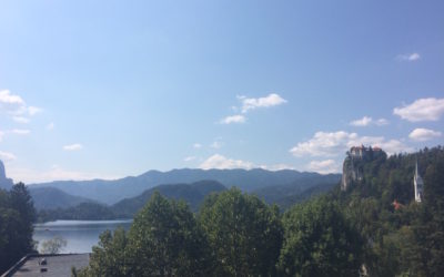 The 2016 8th Art of Management and Organization Conference in Bled