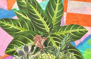 When Good Intentions Go Too Far – Lessons from the Garden