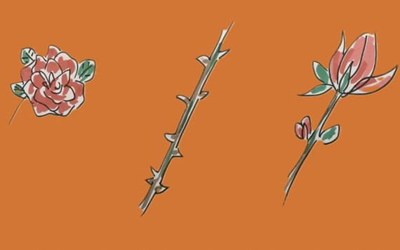 Rose Bud Thorn: A Simple Way to See What’s Working, What’s Emerging and What Needs Attention